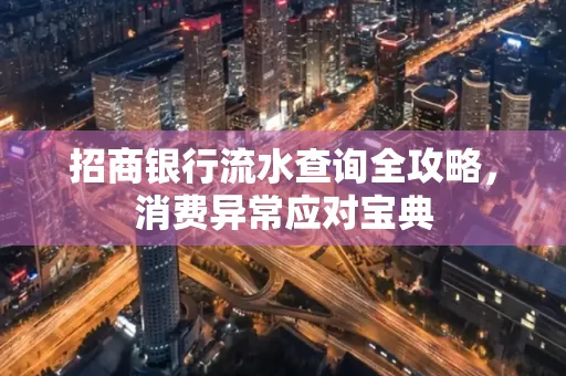 招商银行流水查询全攻略,消费异常应对宝典