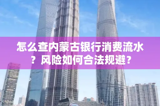 怎么查内蒙古银行消费流水?风险如何合法规避?