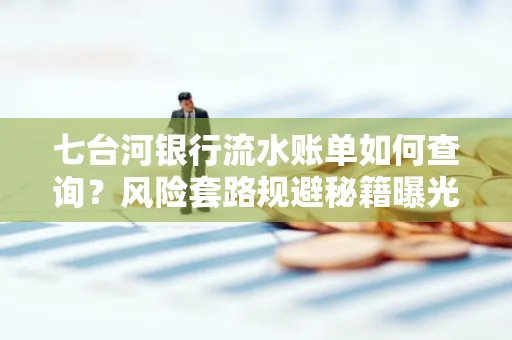 七台河银行流水账单如何查询?风险套路规避秘籍曝光?