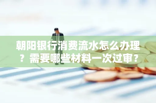 朝阳银行消费流水怎么办理?需要哪些材料一次过审?