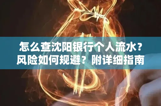 怎么查沈阳银行个人流水？风险如何规避？附详细指南
