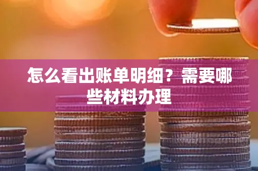 怎么看出账单明细？需要哪些材料办理