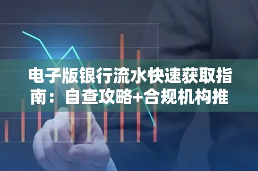 电子版银行流水快速获取指南：自查攻略+合规机构推荐
