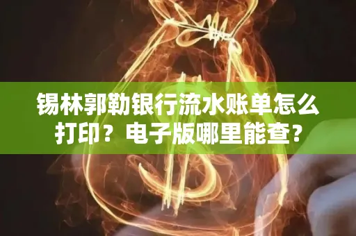 锡林郭勒银行流水账单怎么打印？电子版哪里能查？
