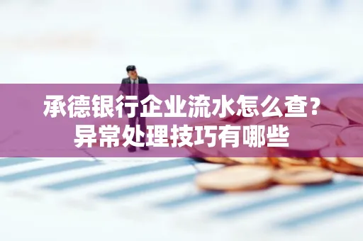 承德银行企业流水怎么查？异常处理技巧有哪些