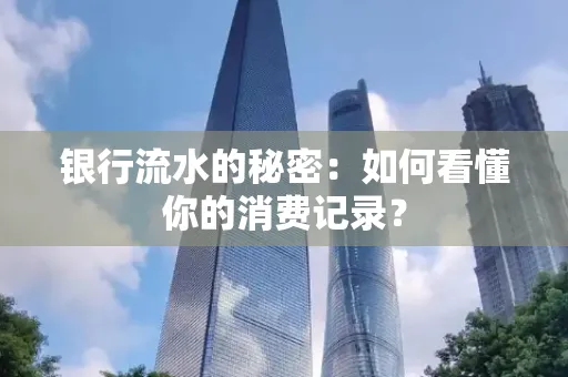 银行流水的秘密：如何看懂你的消费记录？
