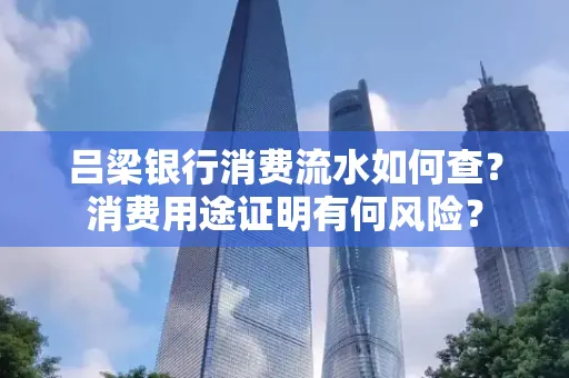 吕梁银行消费流水如何查?消费用途证明有何风险?