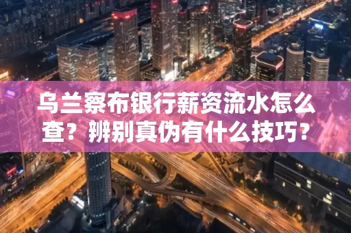 乌兰察布银行薪资流水怎么查?辨别真伪有什么技巧?