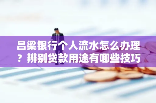 吕梁银行个人流水怎么办理?辨别贷款用途有哪些技巧?