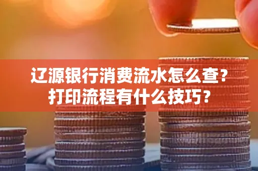 辽源银行消费流水怎么查?打印流程有什么技巧?
