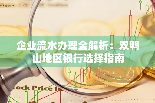 企业流水办理全解析:双鸭山地区银行选择指南