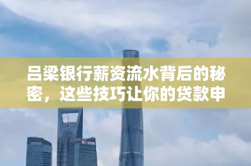 吕梁银行薪资流水背后的秘密,这些技巧让你的贷款申请快人一步