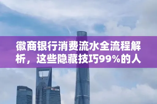 徽商银行消费流水全流程解析,这些隐藏技巧99%的人不知道