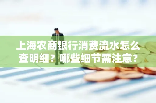 上海农商银行消费流水怎么查明细?哪些细节需注意?