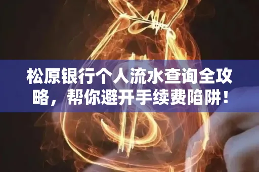 松原银行个人流水查询全攻略,帮你避开手续费陷阱!