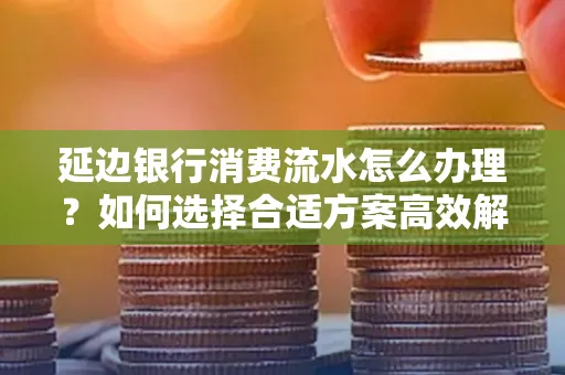 延边银行消费流水怎么办理?如何选择合适方案高效解决?