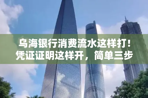 乌海银行消费流水这样打!凭证证明这样开,简单三步轻松搞定