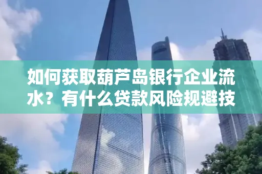 如何获取葫芦岛银行企业流水?有什么贷款风险规避技巧?