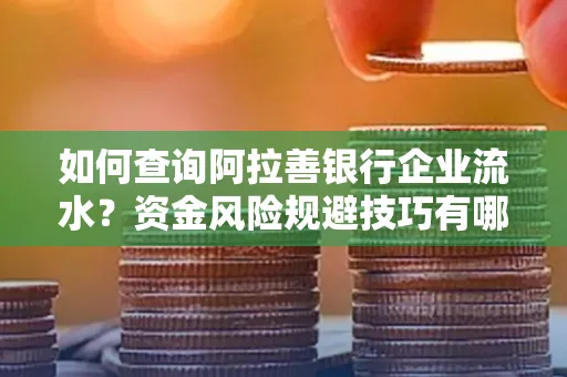 如何查询阿拉善银行企业流水?资金风险规避技巧有哪些?