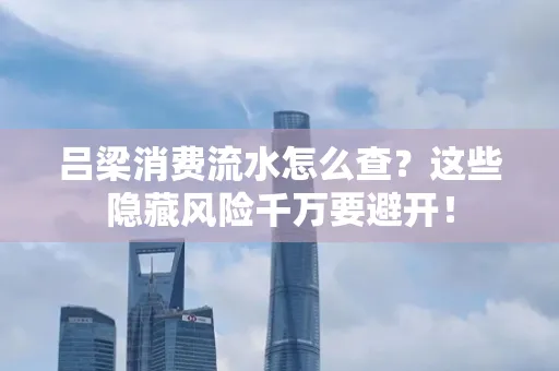 吕梁消费流水怎么查?这些隐藏风险千万要避开!