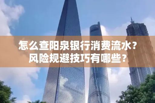 怎么查阳泉银行消费流水?风险规避技巧有哪些?