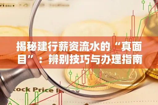 揭秘建行薪资流水的“真面目”：辨别技巧与办理指南大公开