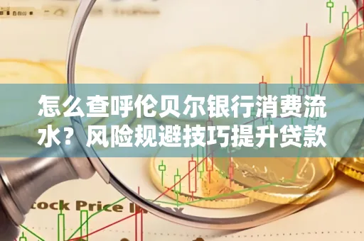 怎么查呼伦贝尔银行消费流水?风险规避技巧提升贷款率?